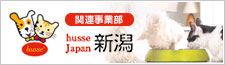 husse Japan 新潟